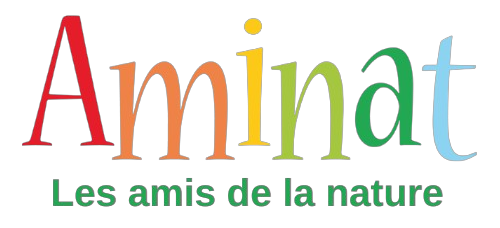 aminat.beecomores.org